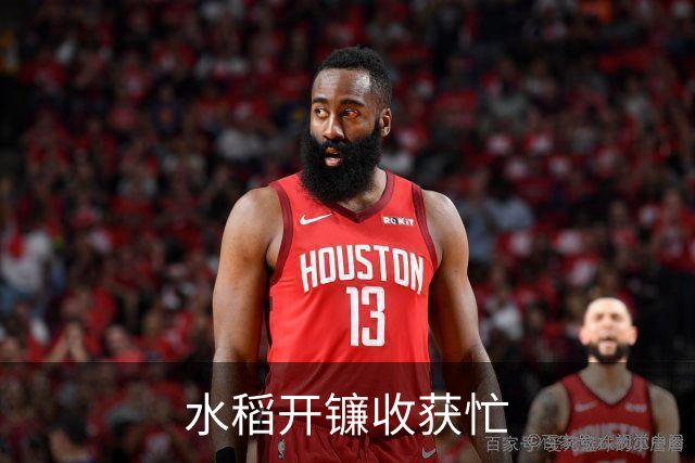水稻开镰收获忙